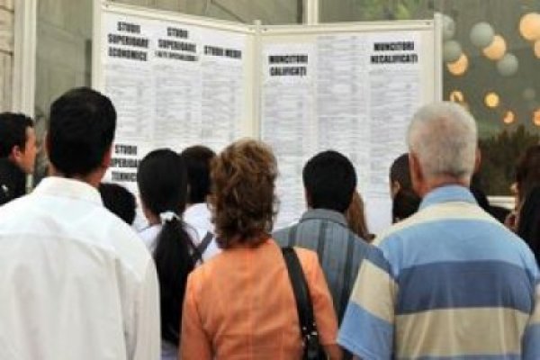 ANOFM va derula 160 de programe gratuite pentru formare profesională, în luna august